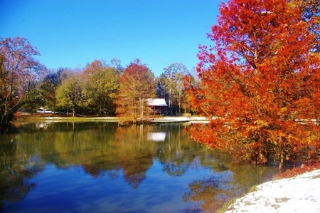Secluded Cabin for Sale Pond Fishing Hunting Centreville MS - image 32