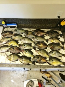 Secluded Cabin for Sale Pond Fishing Hunting Centreville MS - image 29