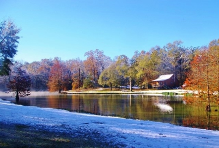 Secluded Cabin for Sale Pond Fishing Hunting Centreville MS - image 33