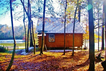 Secluded Cabin for Sale Pond Fishing Hunting Centreville MS - image 17