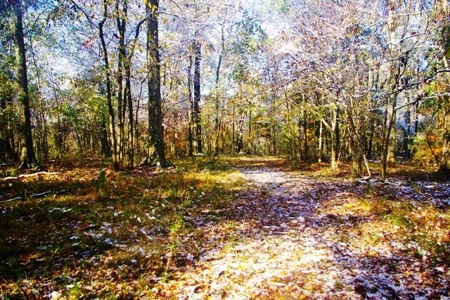 Secluded Cabin for Sale Pond Fishing Hunting Centreville MS - image 43