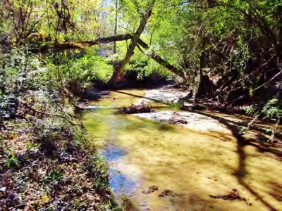 Secluded Cabin for Sale Pond Fishing Hunting Centreville MS - image 23