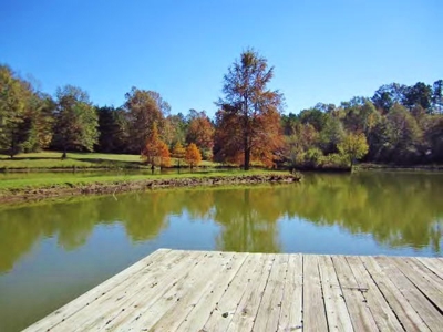 Secluded Cabin for Sale Pond Fishing Hunting Centreville MS - image 30