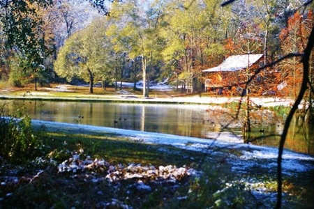 Secluded Cabin for Sale Pond Fishing Hunting Centreville MS - image 34