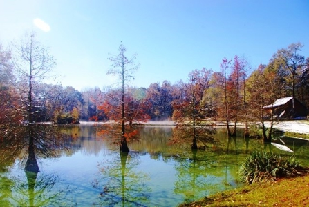 Secluded Cabin for Sale Pond Fishing Hunting Centreville MS - image 41