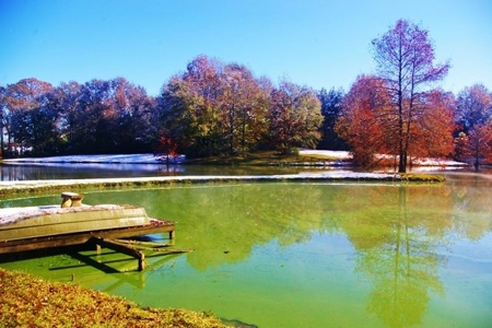 Secluded Cabin for Sale Pond Fishing Hunting Centreville MS - image 39