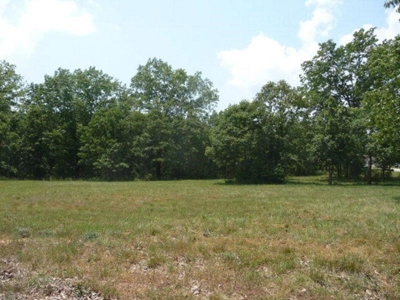 Residential Lots for Sale in the MO. Ozarks - The Timbers - image 6
