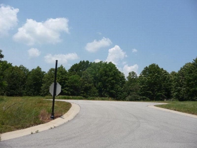 Residential Lots for Sale in the MO. Ozarks - The Timbers - image 8