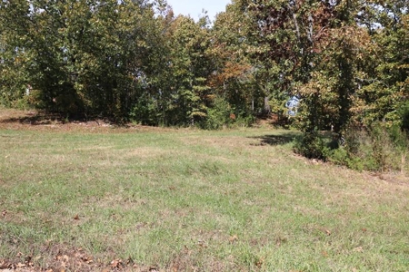 Residential Lots for Sale in the MO. Ozarks - The Timbers - image 15