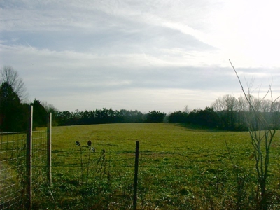 Nottoway County, VA Farmette - image 25