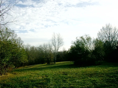 Nottoway County, VA Farmette - image 23