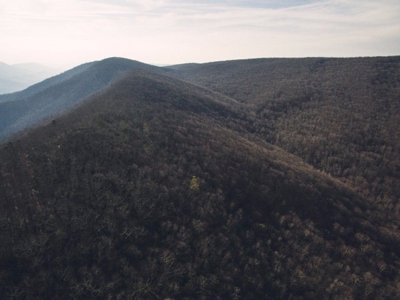 Giles County, VA Acreage For Sale - image 14