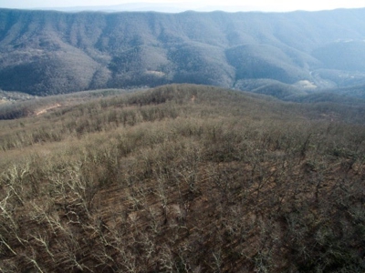 Giles County, VA Acreage For Sale - image 13