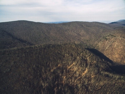 Giles County, VA Acreage For Sale - image 8