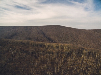 Giles County, VA Acreage For Sale - image 2