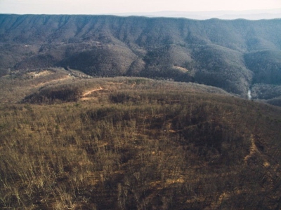 Giles County, VA Acreage For Sale - image 3