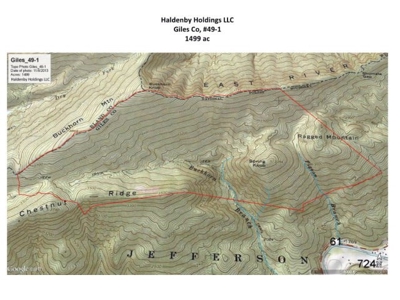 Giles County, VA Acreage For Sale - image 16