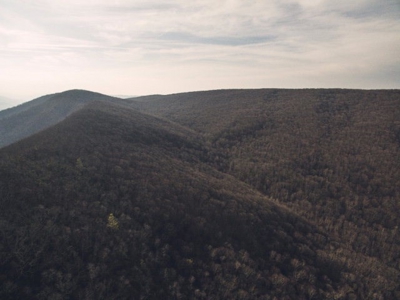 Giles County, VA Acreage For Sale - image 12
