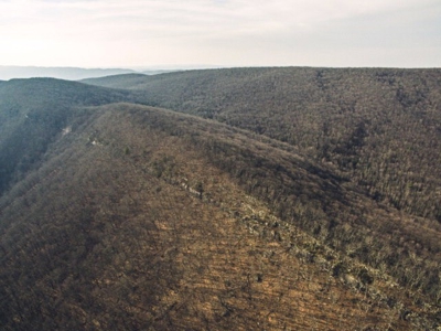 Giles County, VA Acreage For Sale - image 10