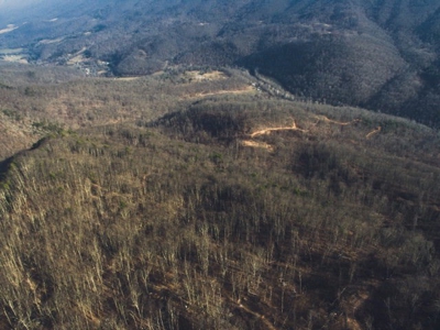 Giles County, VA Acreage For Sale - image 6