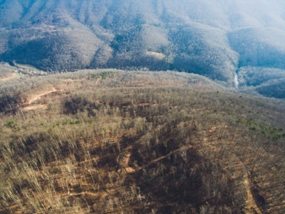 Giles County, VA Acreage For Sale - image 5