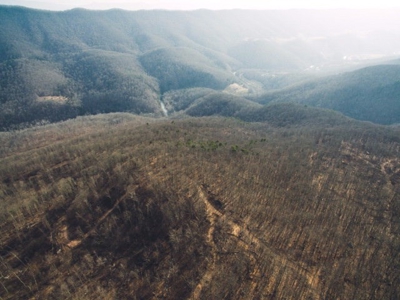 Giles County, VA Acreage For Sale - image 4
