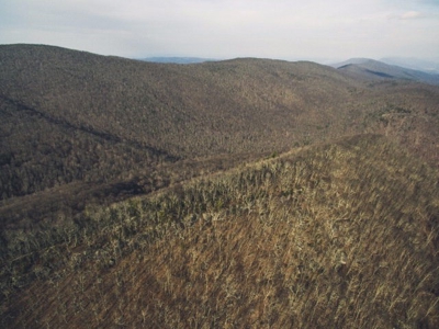 Giles County, VA Acreage For Sale - image 9