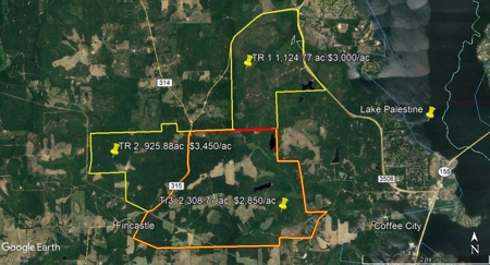 Development Land With 3 Lakes For Sale E. Of Lake Palestine - image 2
