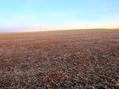 Sale Pending! Sealed Bid Land Sale 320 +/- Acres  Hyde Co - image 1