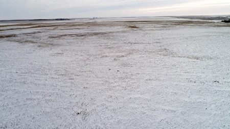 Sale Pending! Sealed Bid Land Sale 320 +/- Acres  Hyde Co - image 13