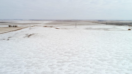 Sale Pending! Sealed Bid Land Sale 320 +/- Acres  Hyde Co - image 7