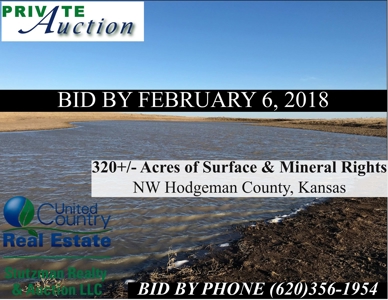 Private Auction ~ Hodgeman County, Ks ~ Pasture & Minerals - image 2