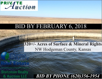 Private Auction ~ Hodgeman County, Ks ~ Pasture & Minerals - image 1