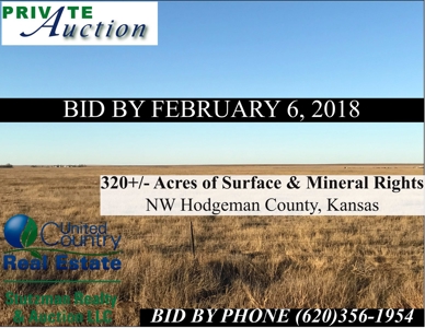 Private Auction ~ Hodgeman County, Ks ~ Pasture & Minerals - image 4