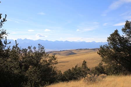 Colorado Mountain Land Off Grid Mountain Views Sustainable - image 9