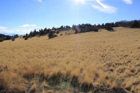 Colorado Mountain Land Off Grid Mountain Views Sustainable - image 13