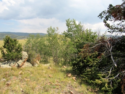 Colorado Mountain Land Off Grid Mountain Views Sustainable - image 3