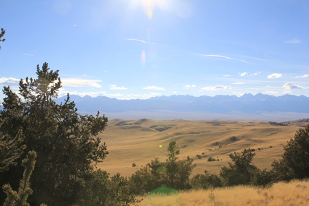 Colorado Mountain Land Off Grid Mountain Views Sustainable - image 11