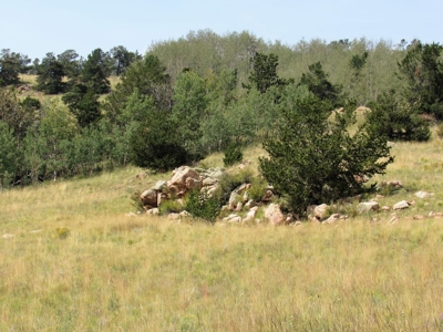 Colorado Mountain Land Off Grid Mountain Views Sustainable - image 4
