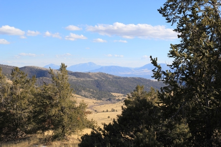 Colorado Mountain Land Off Grid Mountain Views Sustainable - image 17