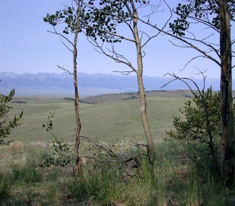 Colorado Mountain Land Off Grid Mountain Views Sustainable - image 2