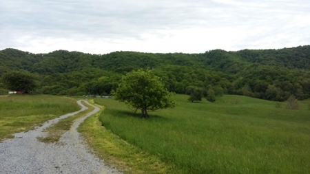 A beautiful farm in the Cove of Wytheville, VA - image 6