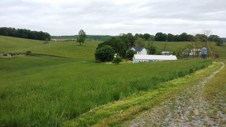 A beautiful farm in the Cove of Wytheville, VA - image 1