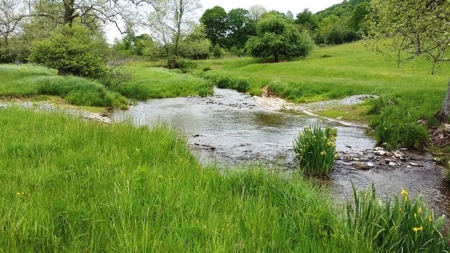 A beautiful farm in the Cove of Wytheville, VA - image 19