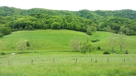 A beautiful farm in the Cove of Wytheville, VA - image 4