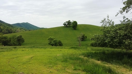A beautiful farm in the Cove of Wytheville, VA - image 2
