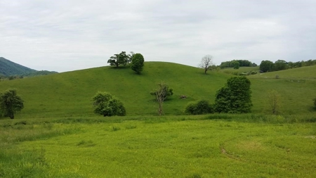 A beautiful farm in the Cove of Wytheville, VA - image 5