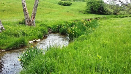 A beautiful farm in the Cove of Wytheville, VA - image 18