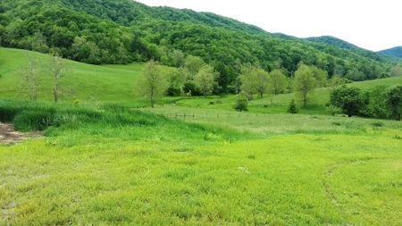 A beautiful farm in the Cove of Wytheville, VA - image 3