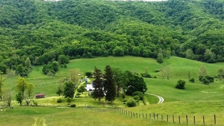 A beautiful farm in the Cove of Wytheville, VA - image 22